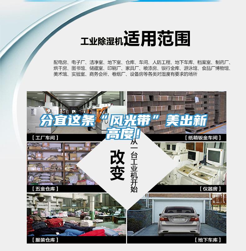 分宜這條“風光帶”美出新高度！