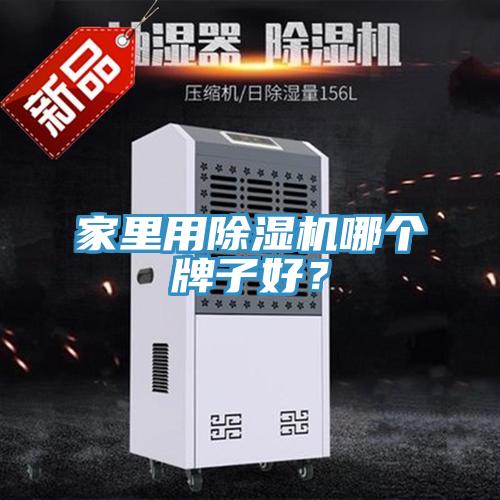 家里用除濕機哪個牌子好？