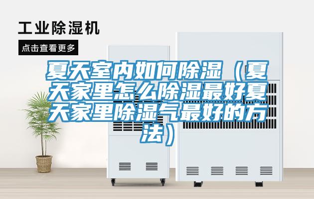夏天室內(nèi)如何除濕（夏天家里怎么除濕最好夏天家里除濕氣最好的方法）