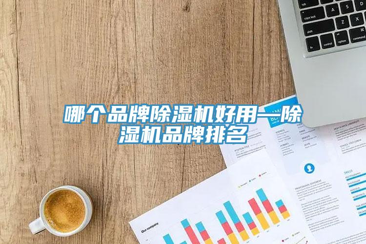 哪個(gè)品牌除濕機(jī)好用—除濕機(jī)品牌排名
