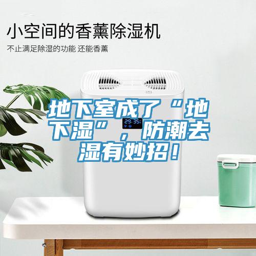 地下室成了“地下濕”，防潮去濕有妙招！