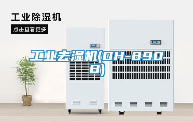 工業(yè)去濕機(DH-890B)