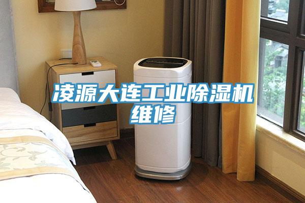 凌源大連工業(yè)除濕機維修