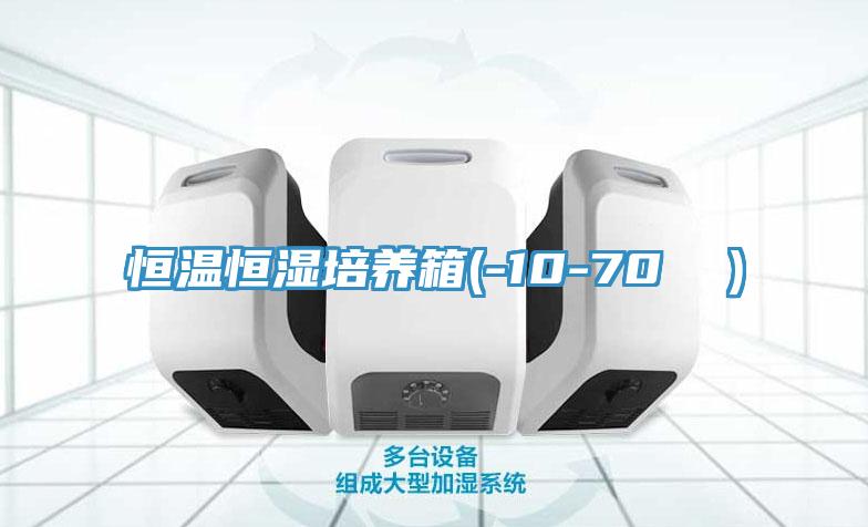 恒溫恒濕培養(yǎng)箱(-10-70 ℃)