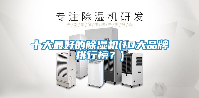 十大最好的除濕機(10大品牌排行榜？)