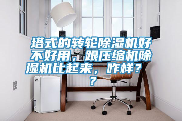 塔式的轉(zhuǎn)輪除濕機(jī)好不好用，跟壓縮機(jī)除濕機(jī)比起來，咋樣？ ？