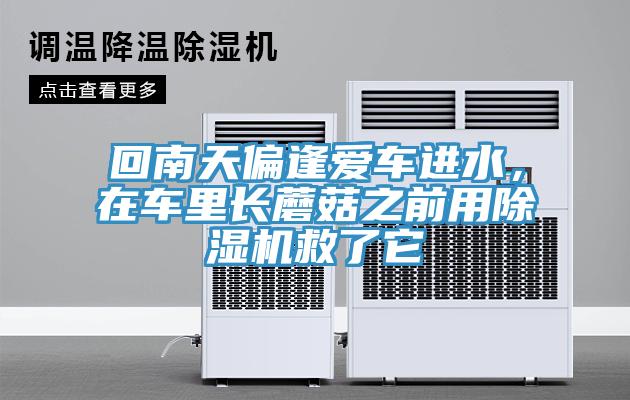 回南天偏逢愛車進水，在車里長蘑菇之前用除濕機救了它