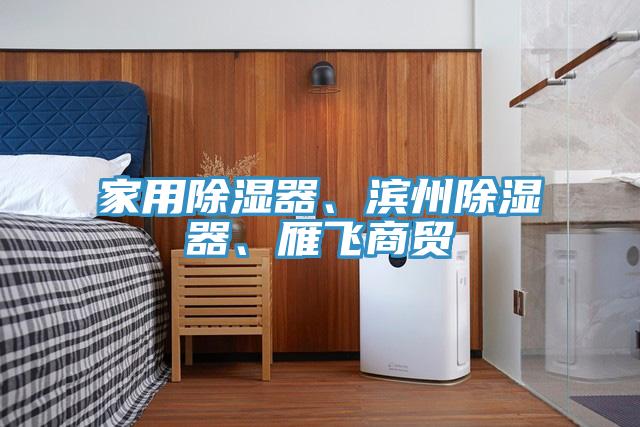 家用除濕器、濱州除濕器、雁飛商貿(mào)