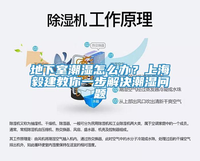地下室潮濕怎么辦？上海毅建教你一步解決潮濕問題