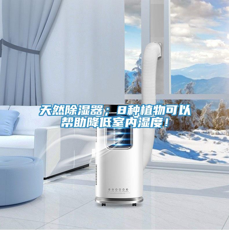 天然除濕器；8種植物可以幫助降低室內(nèi)濕度！