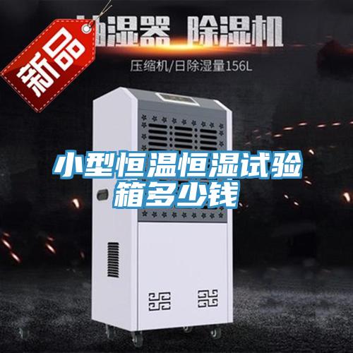 小型恒溫恒濕試驗(yàn)箱多少錢(qián)