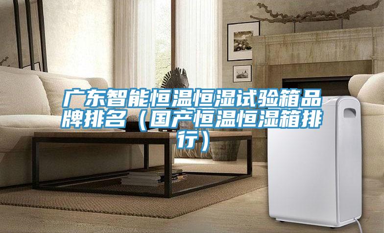 廣東智能恒溫恒濕試驗(yàn)箱品牌排名（國(guó)產(chǎn)恒溫恒濕箱排行）