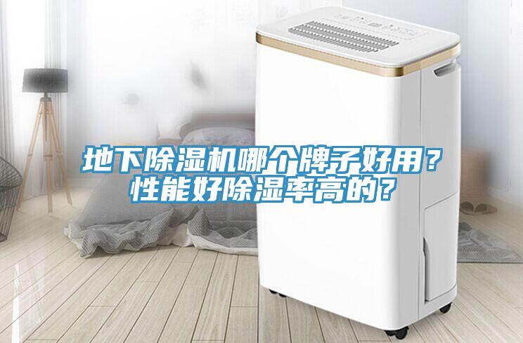 地下除濕機哪個牌子好用？性能好除濕率高的？