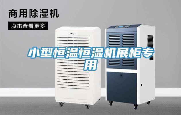 小型恒溫恒濕機(jī)展柜專(zhuān)用