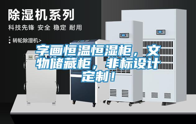 字畫恒溫恒濕柜，文物儲(chǔ)藏柜，非標(biāo)設(shè)計(jì)定制！