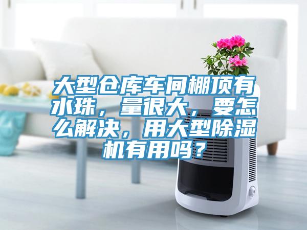大型倉庫車間棚頂有水珠，量很大，要怎么解決，用大型除濕機(jī)有用嗎？