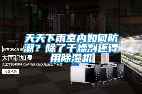 天天下雨室內如何防潮？除了干燥劑還得用除濕機