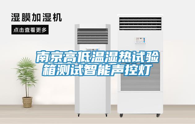 南京高低溫濕熱試驗(yàn)箱測試智能聲控?zé)?/></p>
                            <p style=