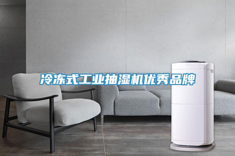 冷凍式工業(yè)抽濕機(jī)優(yōu)秀品牌