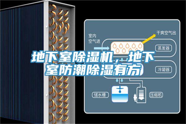地下室除濕機(jī)，地下室防潮除濕有方