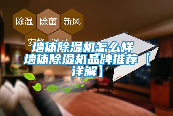 墻體除濕機(jī)怎么樣 墻體除濕機(jī)品牌推薦【詳解】