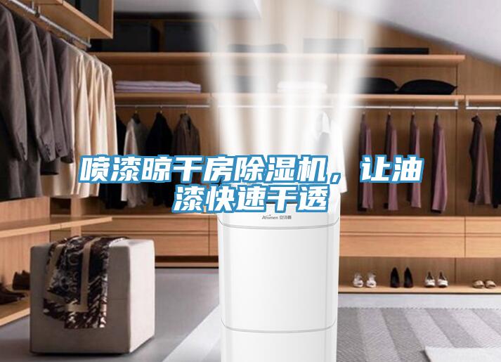 噴漆晾干房除濕機(jī)，讓油漆快速干透
