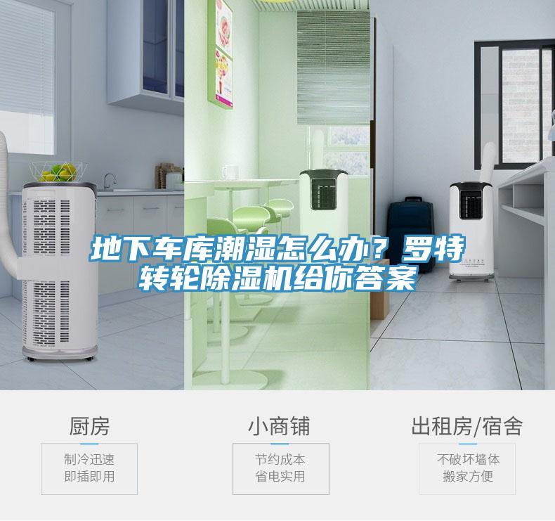 地下車(chē)庫(kù)潮濕怎么辦？羅特轉(zhuǎn)輪除濕機(jī)給你答案