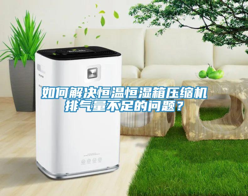 如何解決恒溫恒濕箱壓縮機排氣量不足的問題？