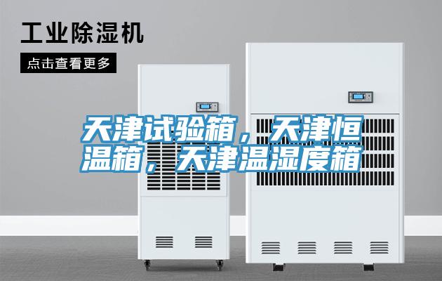 天津試驗(yàn)箱，天津恒溫箱，天津溫濕度箱