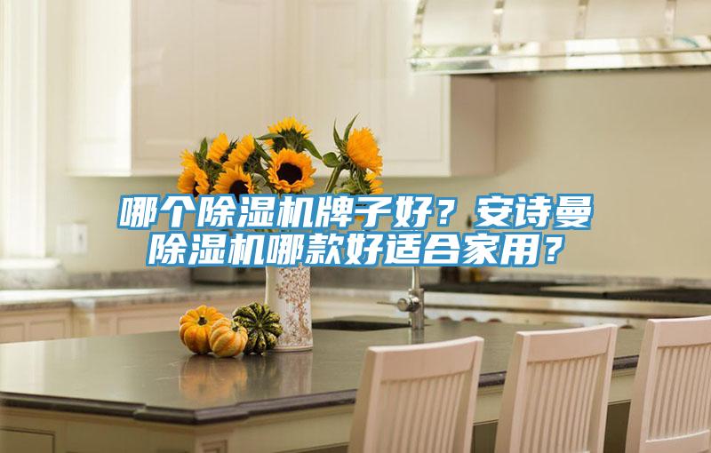 哪個(gè)除濕機(jī)牌子好？安詩(shī)曼除濕機(jī)哪款好適合家用？
