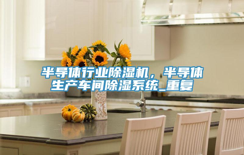 半導體行業(yè)除濕機，半導體生產車間除濕系統(tǒng)_重復