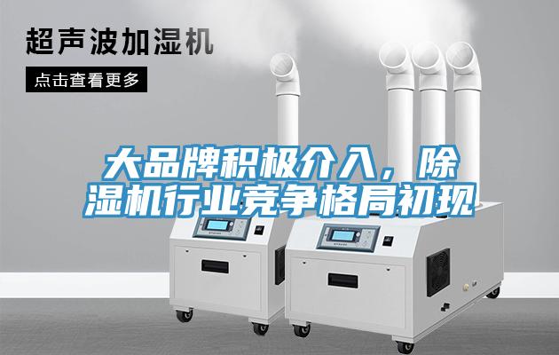 大品牌積極介入，除濕機(jī)行業(yè)競(jìng)爭(zhēng)格局初現(xiàn)