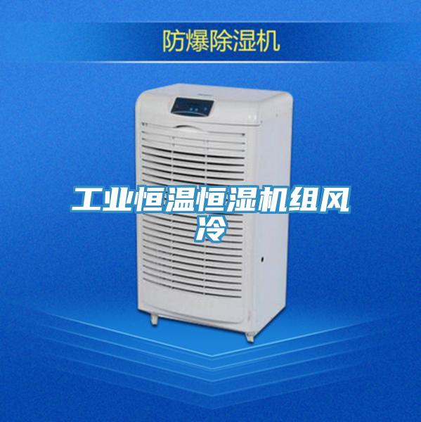 工業(yè)恒溫恒濕機組風冷