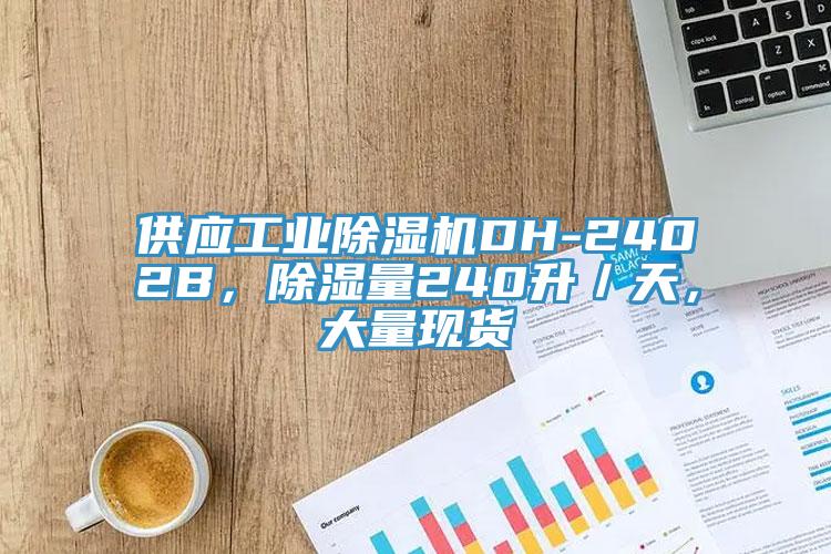 供應(yīng)工業(yè)除濕機(jī)DH-2402B，除濕量240升／天，大量現(xiàn)貨