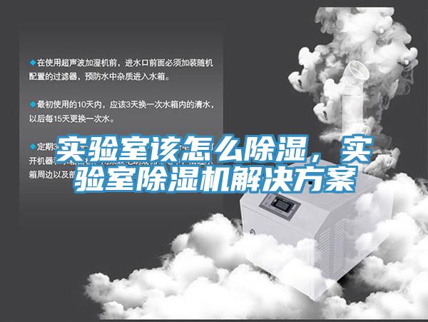 實驗室該怎么除濕，實驗室除濕機解決方案