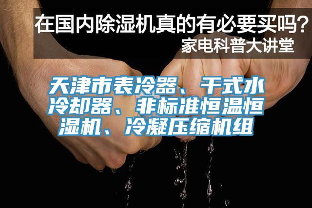 天津市表冷器、干式水冷卻器、非標(biāo)準(zhǔn)恒溫恒濕機(jī)、冷凝壓縮機(jī)組