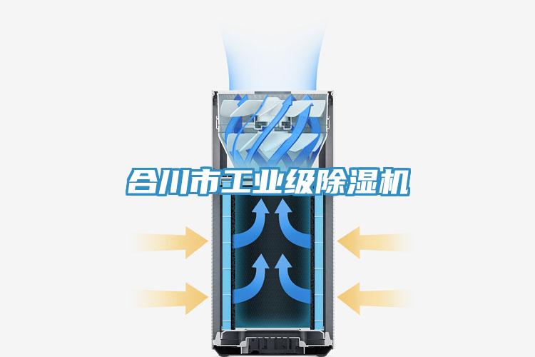 合川市工業(yè)級(jí)除濕機(jī)