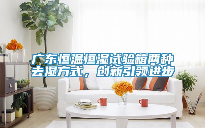 廣東恒溫恒濕試驗(yàn)箱兩種去濕方式，創(chuàng)新引領(lǐng)進(jìn)步
