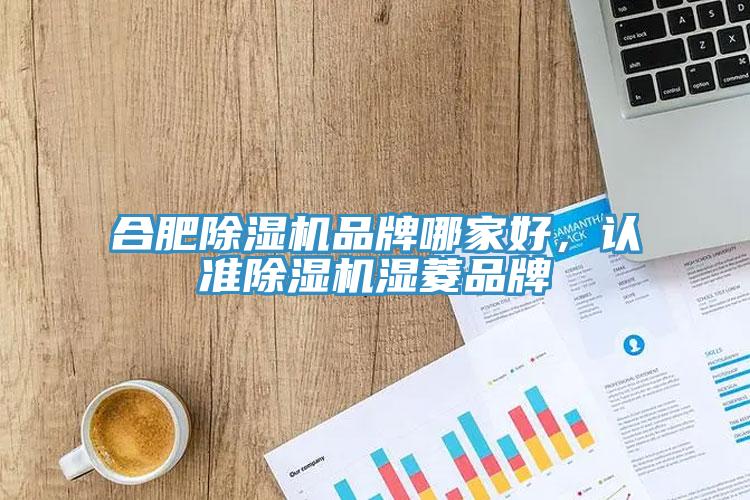 合肥除濕機(jī)品牌哪家好，認(rèn)準(zhǔn)除濕機(jī)濕菱品牌