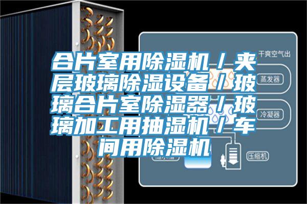 合片室用除濕機(jī)/夾層玻璃除濕設(shè)備/玻璃合片室除濕器/玻璃加工用抽濕機(jī)/車間用除濕機(jī)