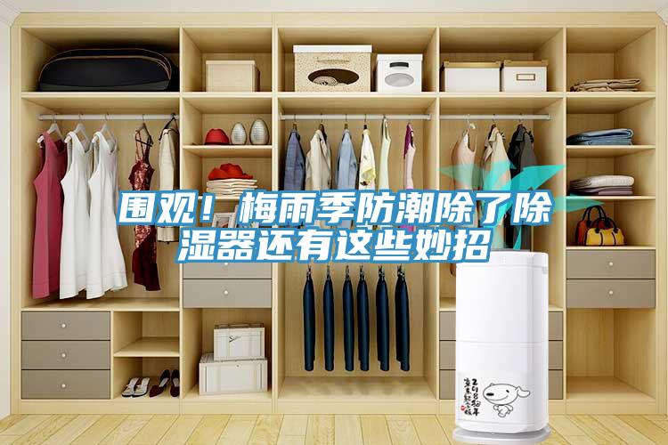 圍觀！梅雨季防潮除了除濕器還有這些妙招