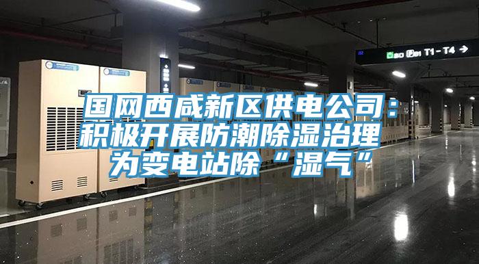 國(guó)網(wǎng)西咸新區(qū)供電公司：積極開(kāi)展防潮除濕治理 為變電站除“濕氣”