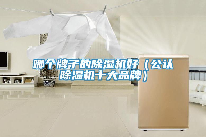 哪個(gè)牌子的除濕機(jī)好（公認(rèn)除濕機(jī)十大品牌）