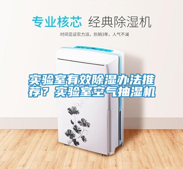 實驗室有效除濕辦法推薦？實驗室空氣抽濕機