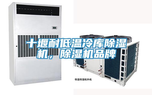十堰耐低溫冷庫除濕機，除濕機品牌