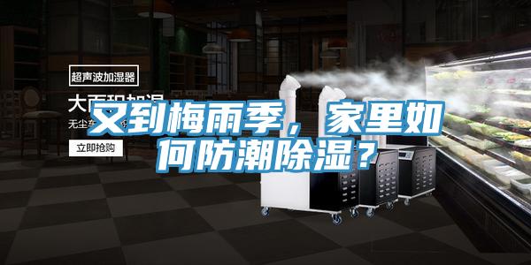 又到梅雨季，家里如何防潮除濕？