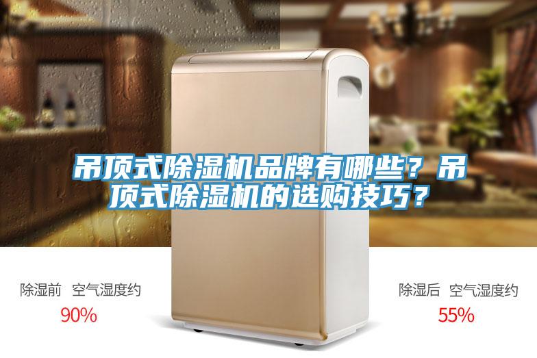 吊頂式除濕機(jī)品牌有哪些？吊頂式除濕機(jī)的選購(gòu)技巧？