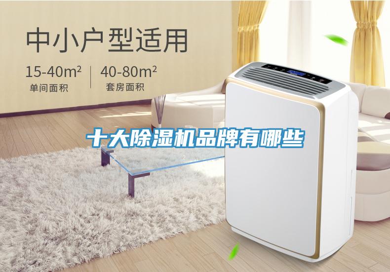 十大除濕機(jī)品牌有哪些