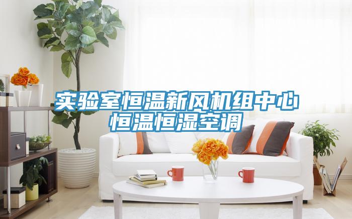 實(shí)驗(yàn)室恒溫新風(fēng)機(jī)組中心恒溫恒濕空調(diào)