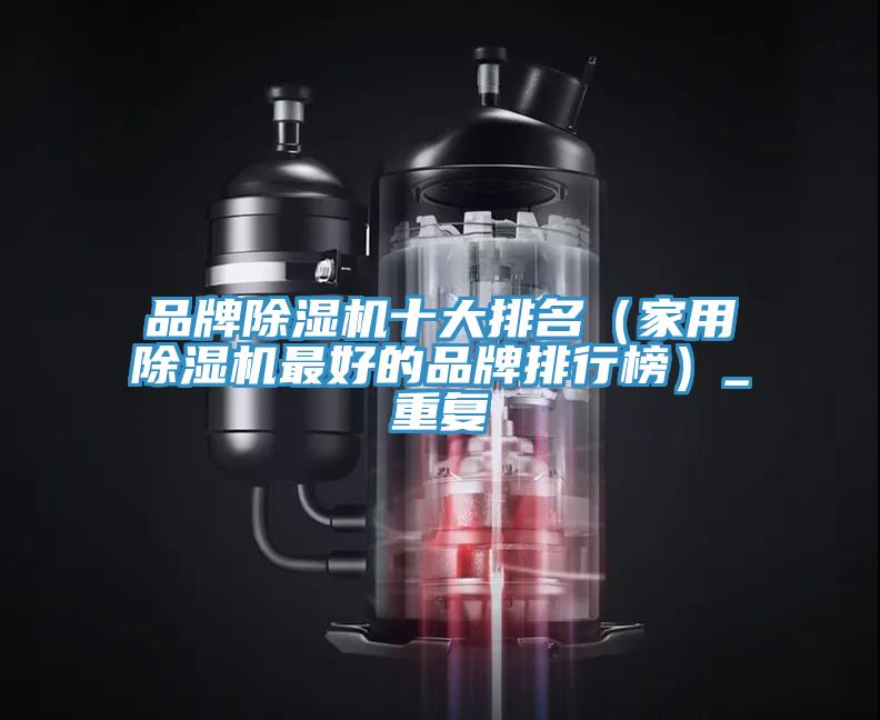 品牌除濕機(jī)十大排名（家用除濕機(jī)最好的品牌排行榜）_重復(fù)